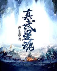 真武星魂封面